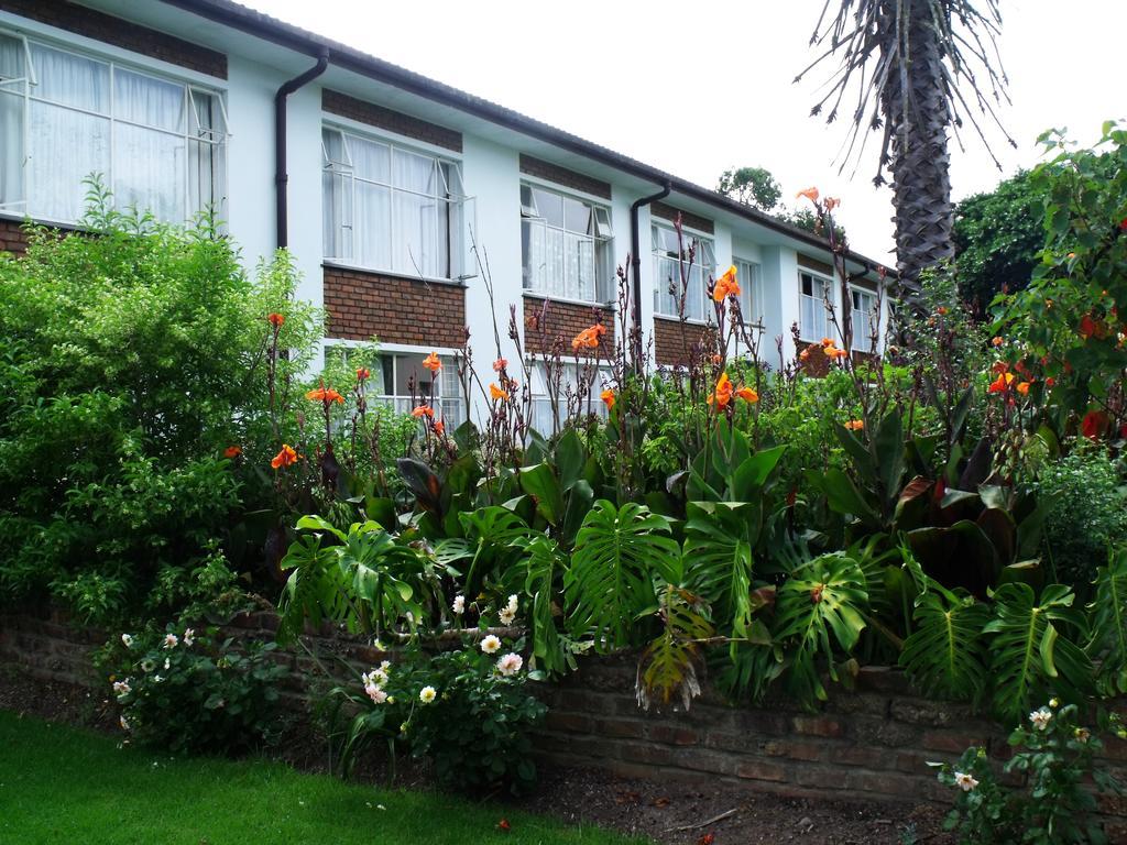Jamaed Court Apartment George Exterior photo